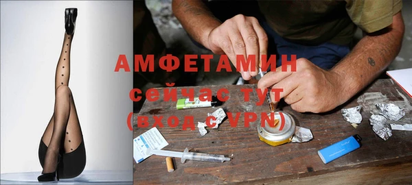 ПСИЛОЦИБИНОВЫЕ ГРИБЫ Баксан