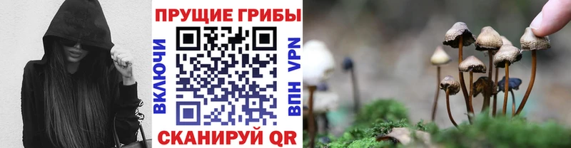 Галлюциногенные грибы мицелий  Афипский 