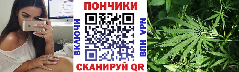 Бошки Шишки индика  Афипский 